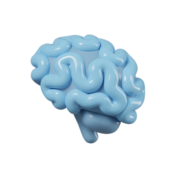 Brain